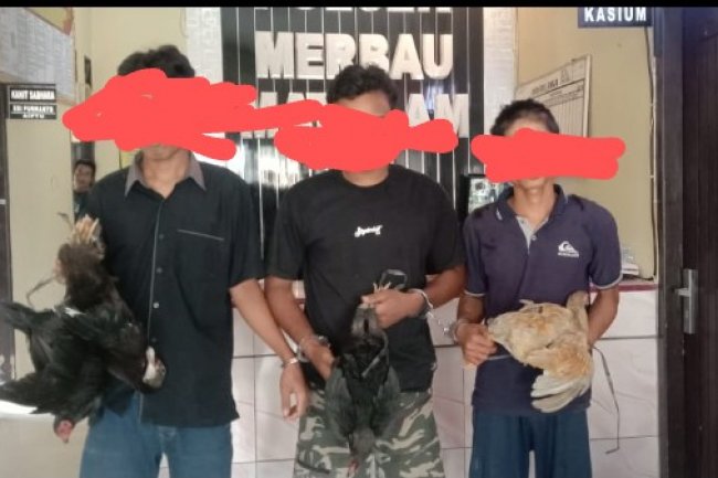 Polsek Merbau Mataram Ringkus Tiga Pelaku Curat