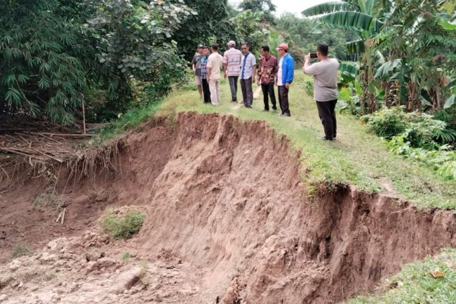 Anggota DPRD Hamdani Dampingi Pemkab Lamsel Meninjau Tanggul Sungai yang Nyaris Jebol