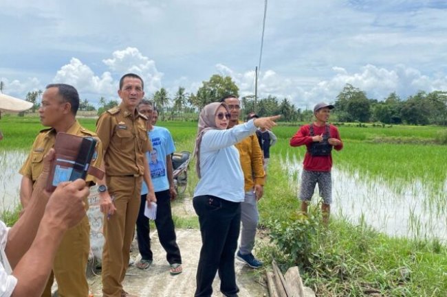 Ketua Komisi III DPRD Lampung Selatan Tindaklanjuti Keluhan Warga Kalirejo Terkait Kebutuhan Listrik