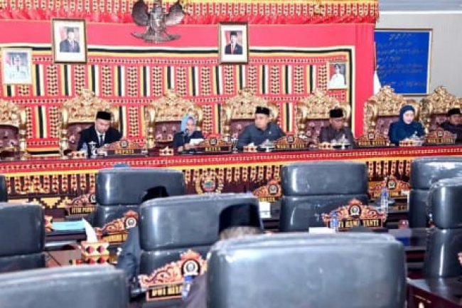 Sidang Paripurna Rancangan APBD Tahun 2025, Ini Pemaparan Ketua DPRD Lampung Selatan Erma Yusneli