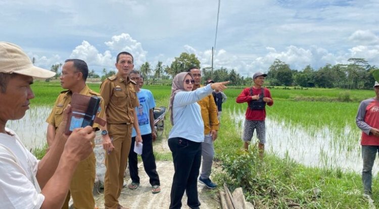 Ketua Komisi III DPRD Lampung Selatan Tindaklanjuti Keluhan Warga Kalirejo Terkait Kebutuhan Listrik