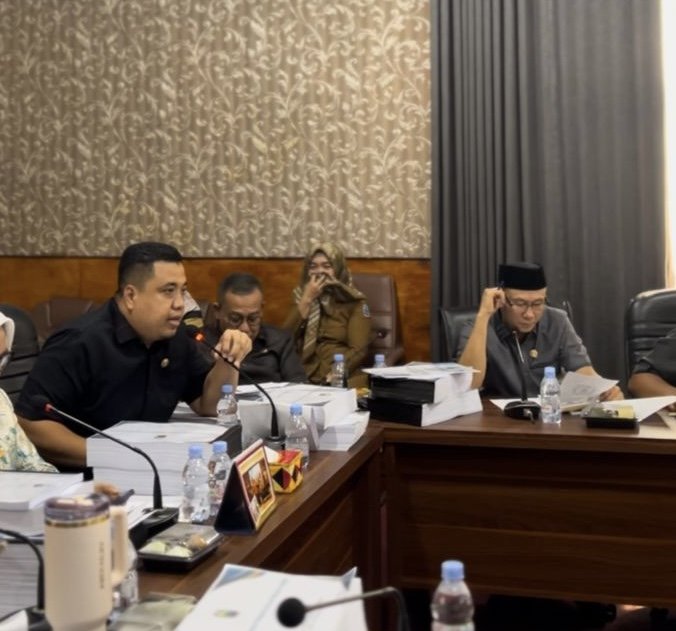 Wakil Ketua I DPRD Lampung Selatan Minta Dinas Kesehatan Tugaskan Dokter di Pulau Terpencil