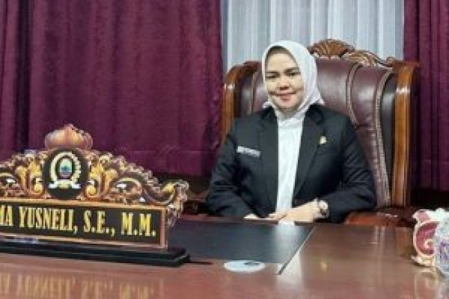 Wacana Pemberian 4 Desa ke Bandar Lampung, Begini Tanggapan Ketua DPRD Lampung Selatan